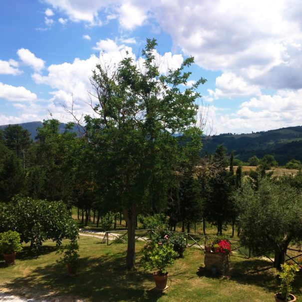 Camera tripla Edera, Agriturismo Le Volte a Gubbio